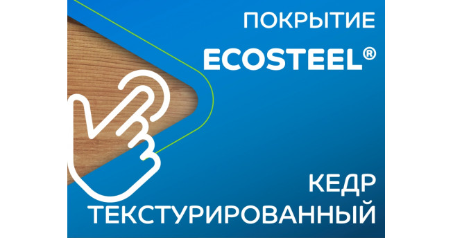 Профилированный лист С-21x1000-B (ECOSTEEL_T-01-Кедр-0,5)